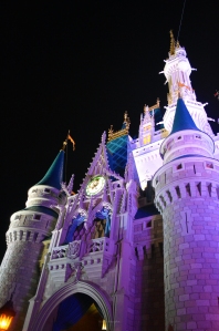Cinderella Castle Night